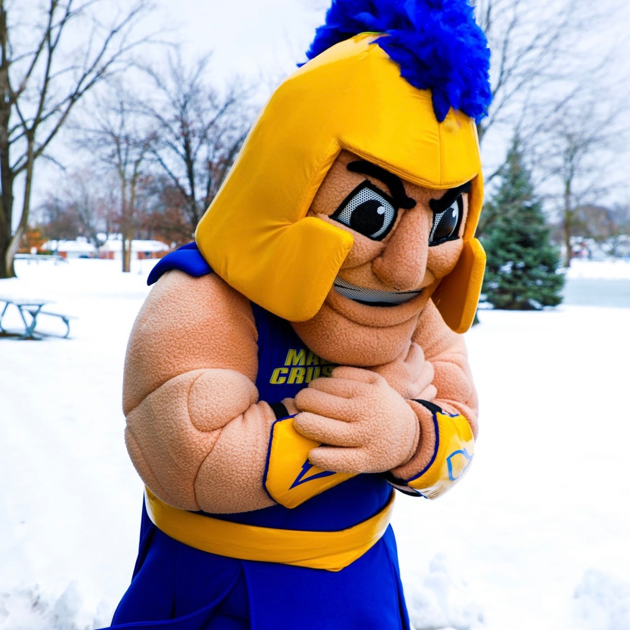 Mascot costume with blue and yellow colors in a snowy outdoor setting