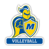 Madonna Volleyball Decal